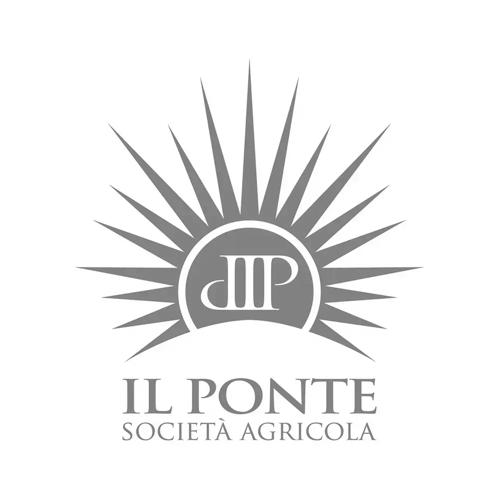 IlPonte